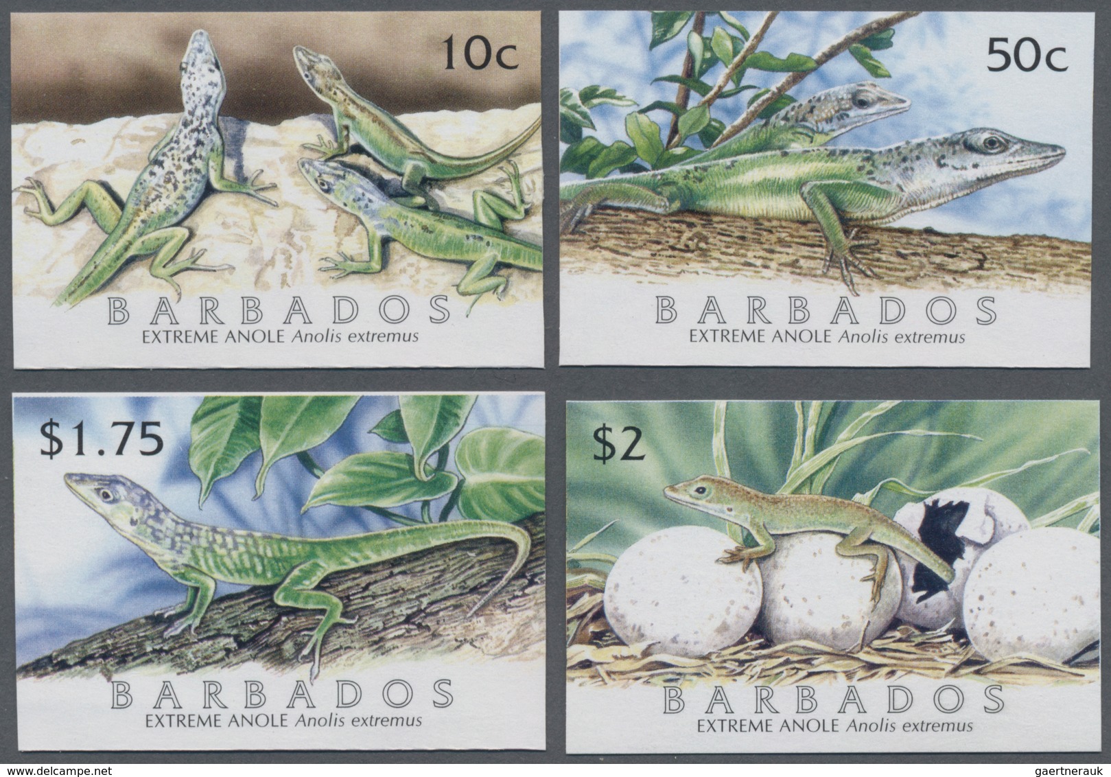 Barbados: 2005, Lizard 'Barbados Anole (Anolis Extremus)' Complete IMPERFORATE Set Of Four, Mint Nev - Barbados (1966-...)