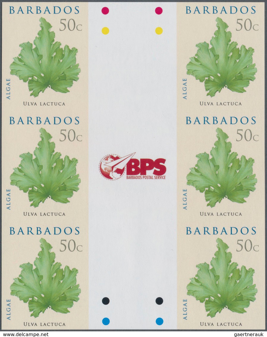 Barbados: 2008. IMPERFORATE Vertical Gutter Block Of 3 Horizontal Pairs For The 50c Value Of The ALG - Barbados (1966-...)