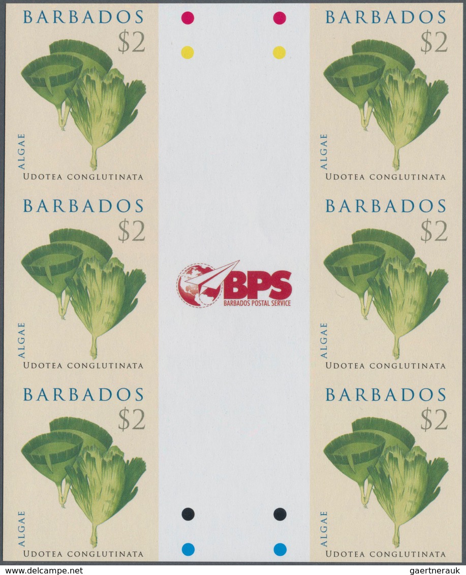 Barbados: 2008. IMPERFORATE Vertical Gutter Block Of 3 Horizontal Pairs For The $2 Value Of The ALGA - Barbados (1966-...)