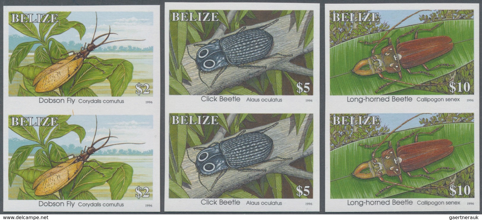 Belize: 1996, Definitives 'Insects' (beetles, Butterfly, Wasp And Others) Complete Set Of Twelve In - Belize (1973-...)