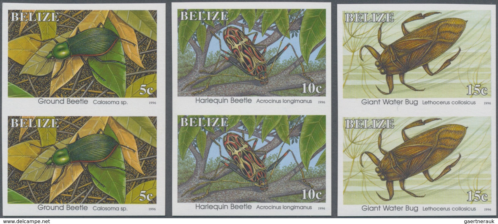 Belize: 1996, Definitives 'Insects' (beetles, Butterfly, Wasp And Others) Complete Set Of Twelve In - Belize (1973-...)