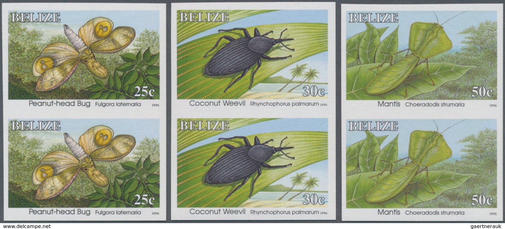 Belize: 1996, Definitives 'Insects' (beetles, butterfly, wasp and others) complete set of twelve in