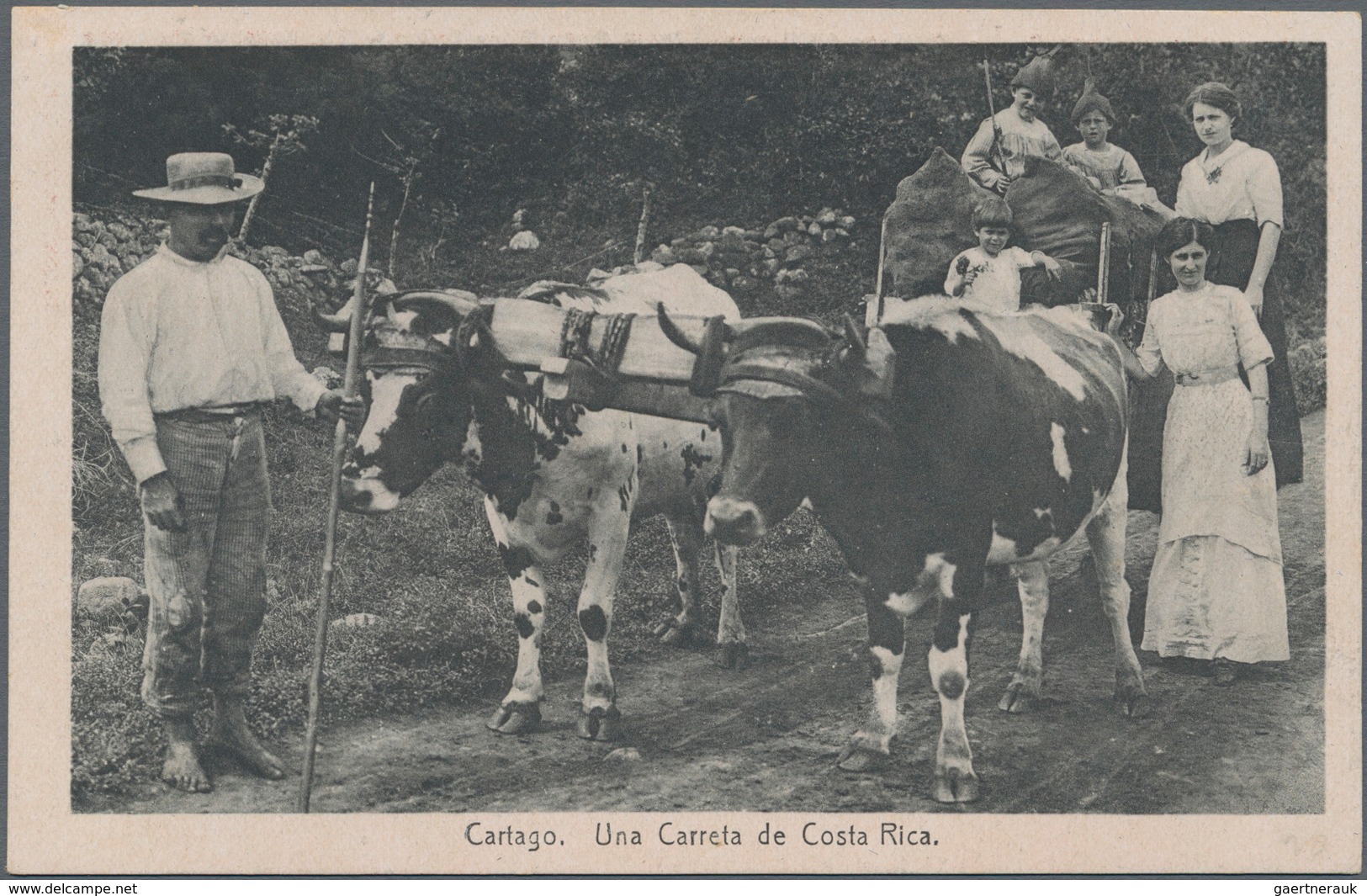 Costa Rica: 1923, Pictorial Stat. Postcard 4c. Red 'Coffee Plant' With Red Advert. 'Drink Costa Rica - Costa Rica