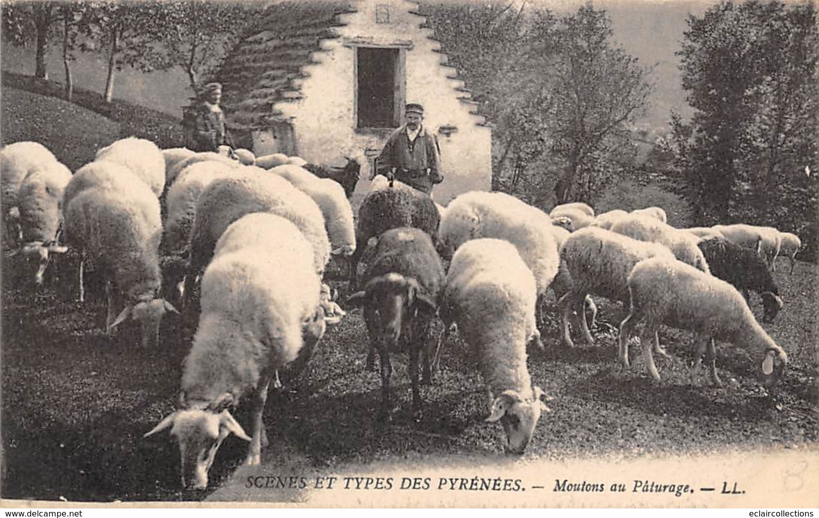 Non Localisé          65        Moutons Au Pâturage       (voir Scan) - Andere & Zonder Classificatie