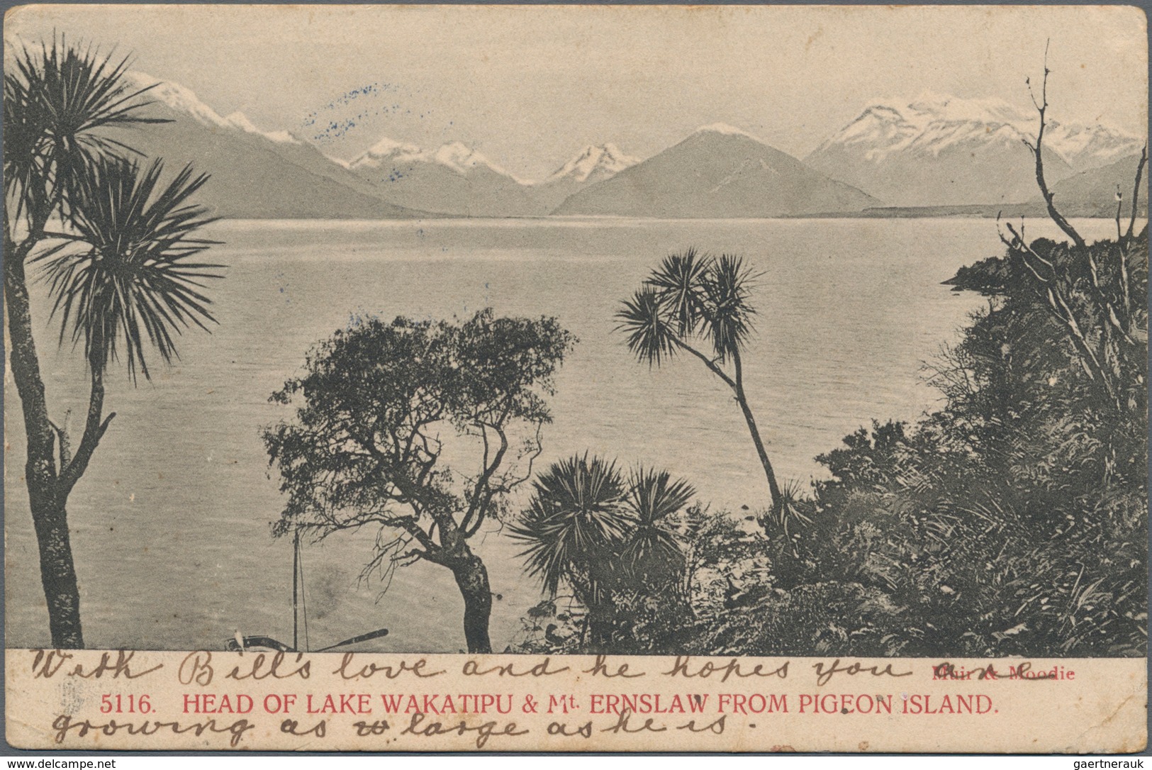 Fiji-Inseln: 1907 Picture Postcard Used Unfranked From Auckland To Suva, With Auckland 12 June 1907 - Fiji (...-1970)