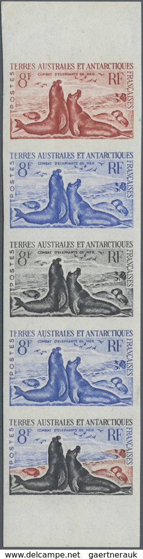 Französische Gebiete In Der Antarktis: 1962, 8fr. Southern Elephant Seal, Imperforate Colour Proof, - Covers & Documents