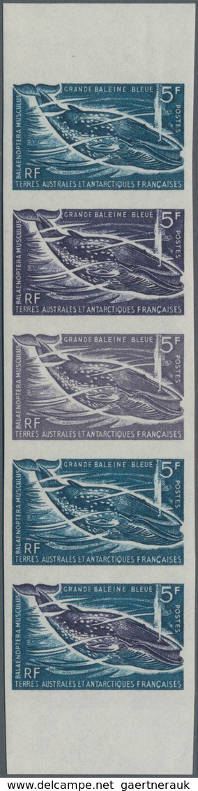 Französische Gebiete In Der Antarktis: 1966, 5fr. Blue Whale, Imperforate Colour Proof, Marginal Str - Covers & Documents