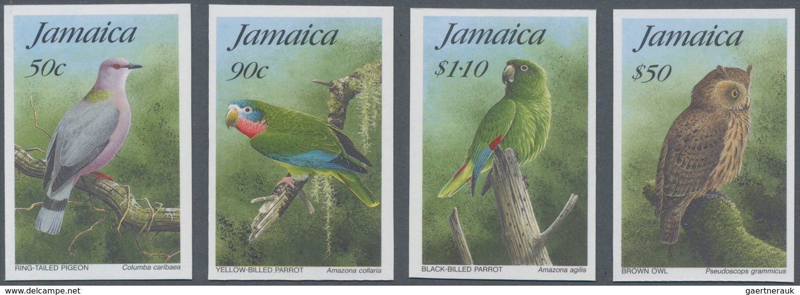 Jamaica: 1995. Complete Set BIRDS (4 Values) In IMPERFORATE Single Stamps. Mint, NH. Rare! - Jamaica (1962-...)