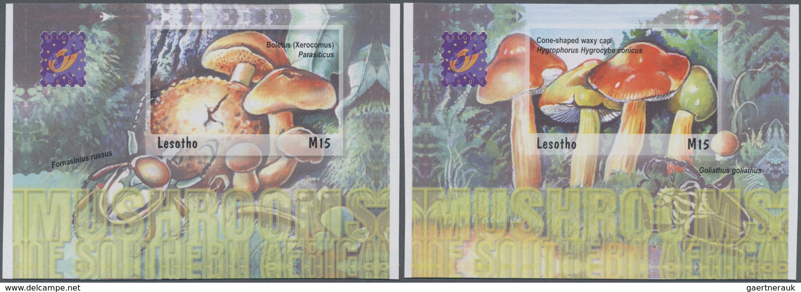 Lesotho: 2001, Mushrooms In Southern Africa Complete IMPERFORATE Set Of Four From Upper Or Lower Mar - Lesotho (1966-...)
