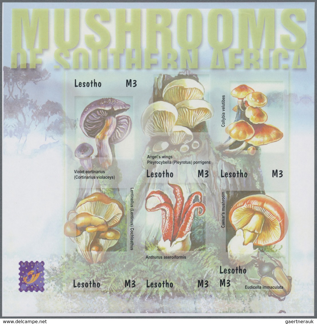 Lesotho: 2001, Mushrooms in Southern Africa complete IMPERFORATE set of four from upper or lower mar