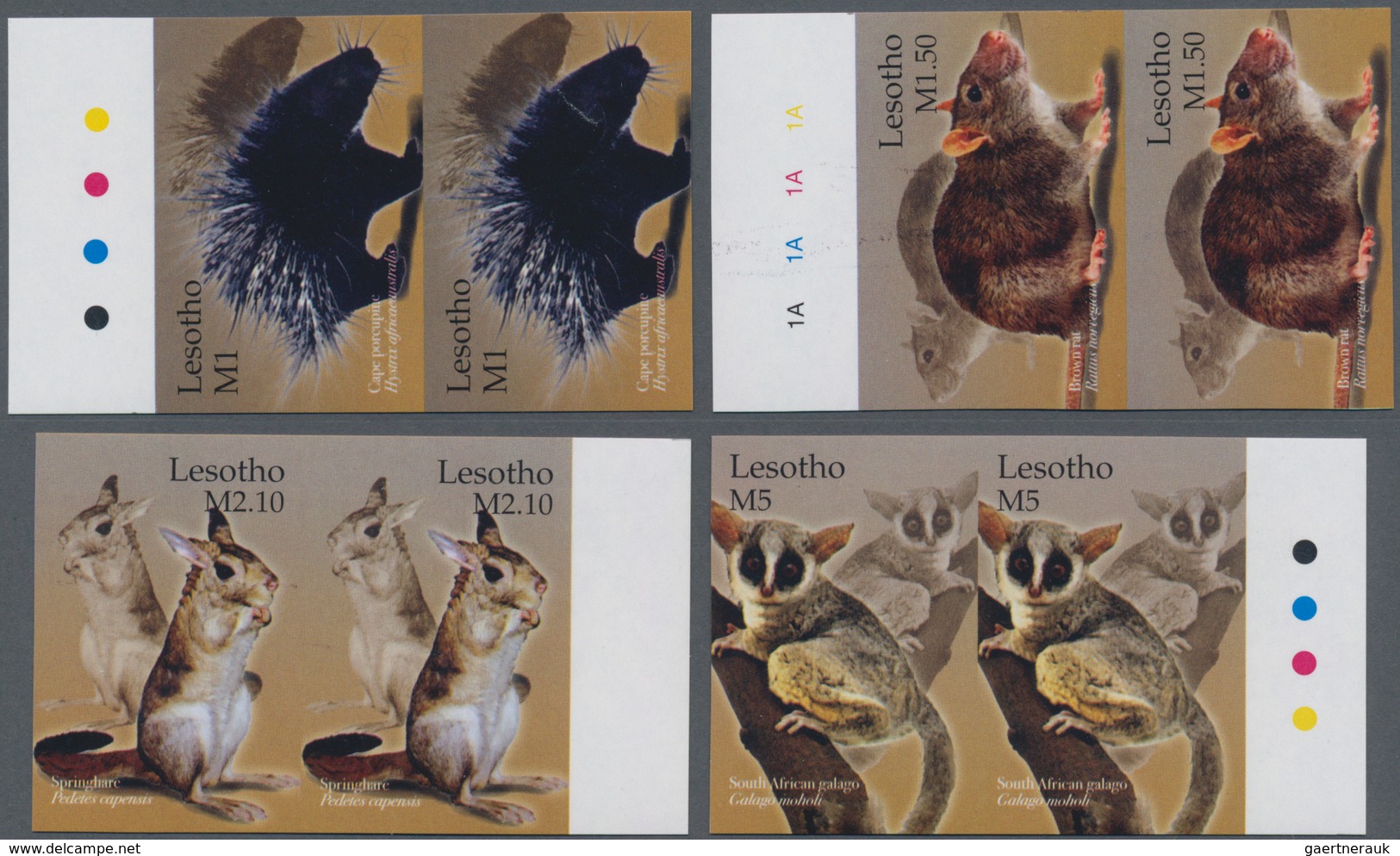 Lesotho: 2004, Mammals Complete Set Of Four (Cape Porcupine, Brown Rat, Springhare And South African - Lesotho (1966-...)