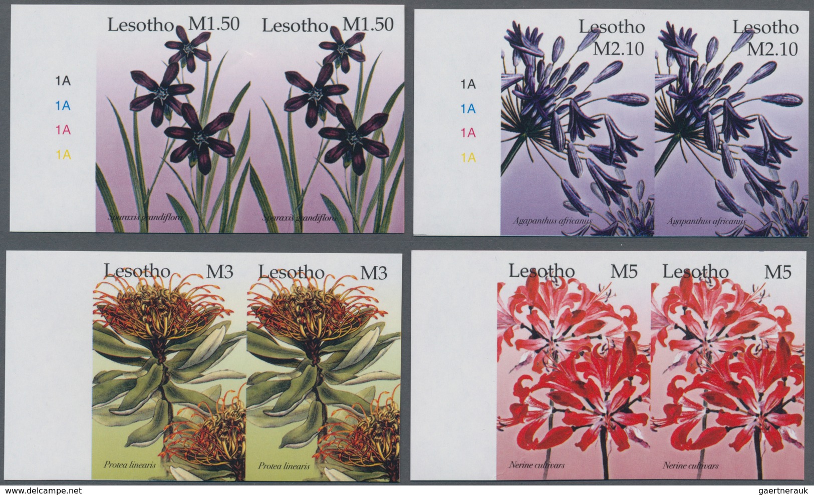 Lesotho: 2004, Flowers Complete Set Of Four In IMPERFORATE Horizontal Pairs From Margins, Mint Never - Lesotho (1966-...)