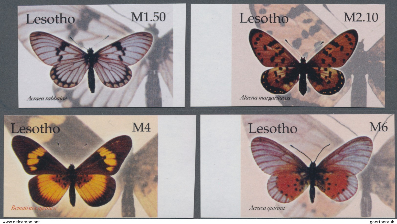 Lesotho: 2004, Butterflies Complete IMPERFORATE Set Of Four (Acraea Rabbaiae, Alaena Margaritacea, B - Lesotho (1966-...)