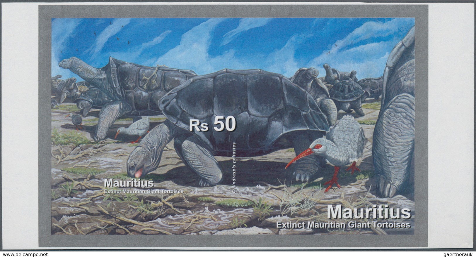 Mauritius: 2009, Extinct Turtles Complete Set Of Four (Cylindraspis Peltastes, Vosmaeri, Inepta And - Mauritius (...-1967)