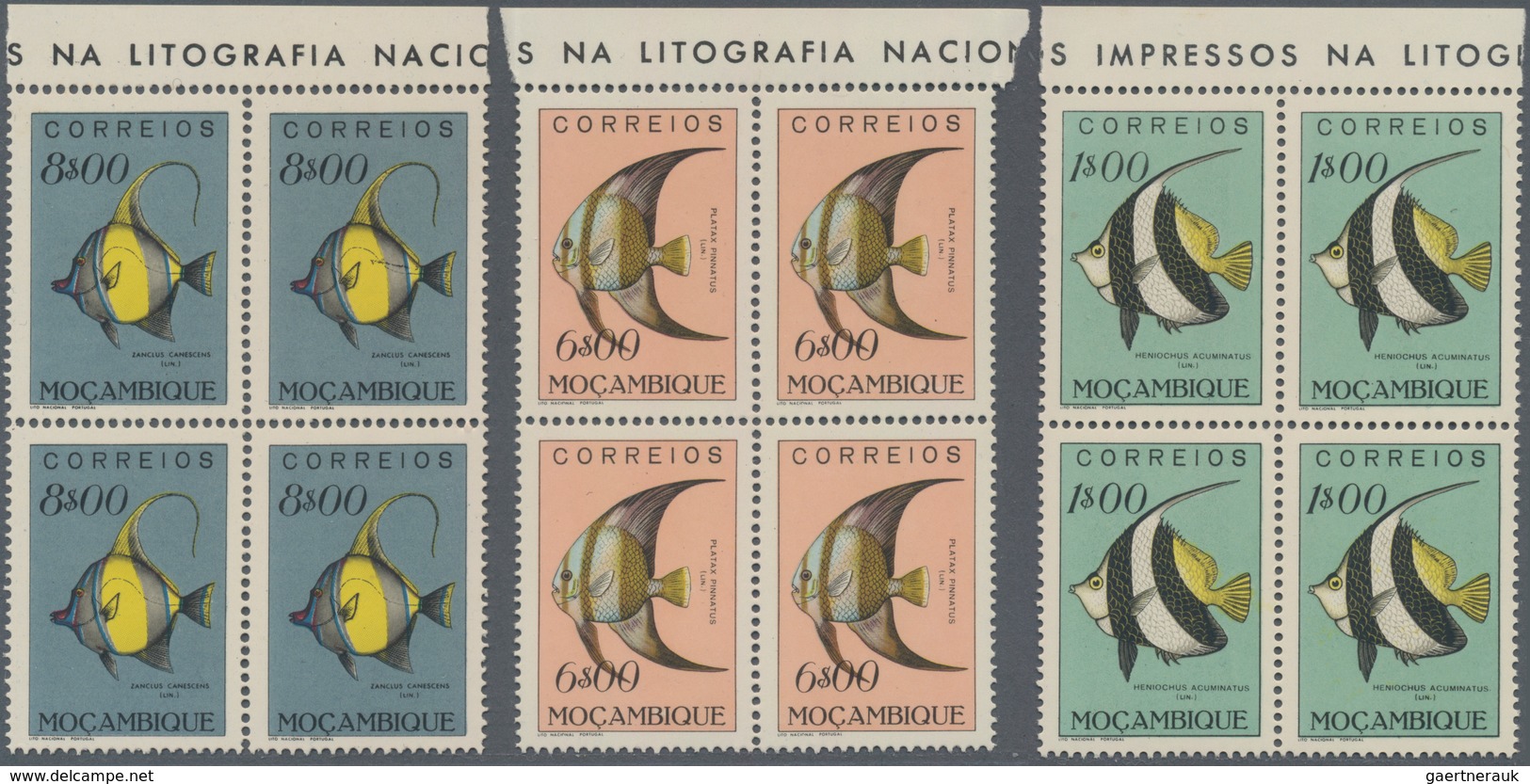 Mocambique: 1951, Fishes, 24 values complete mint never hinged, many in blocks of four. Rare set! Mi