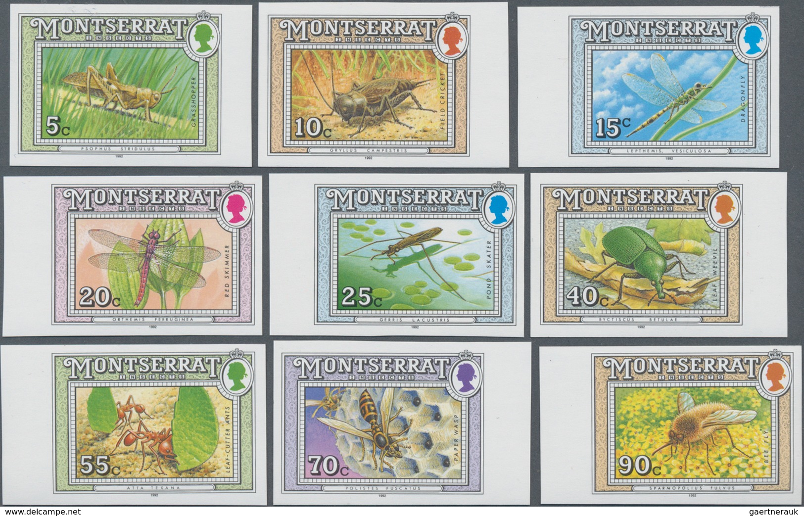 Montserrat: 1992, Definitives 'Insects' (butterflies, Dragonflies, Bee, Wasp And Others) Complete IM - Other & Unclassified