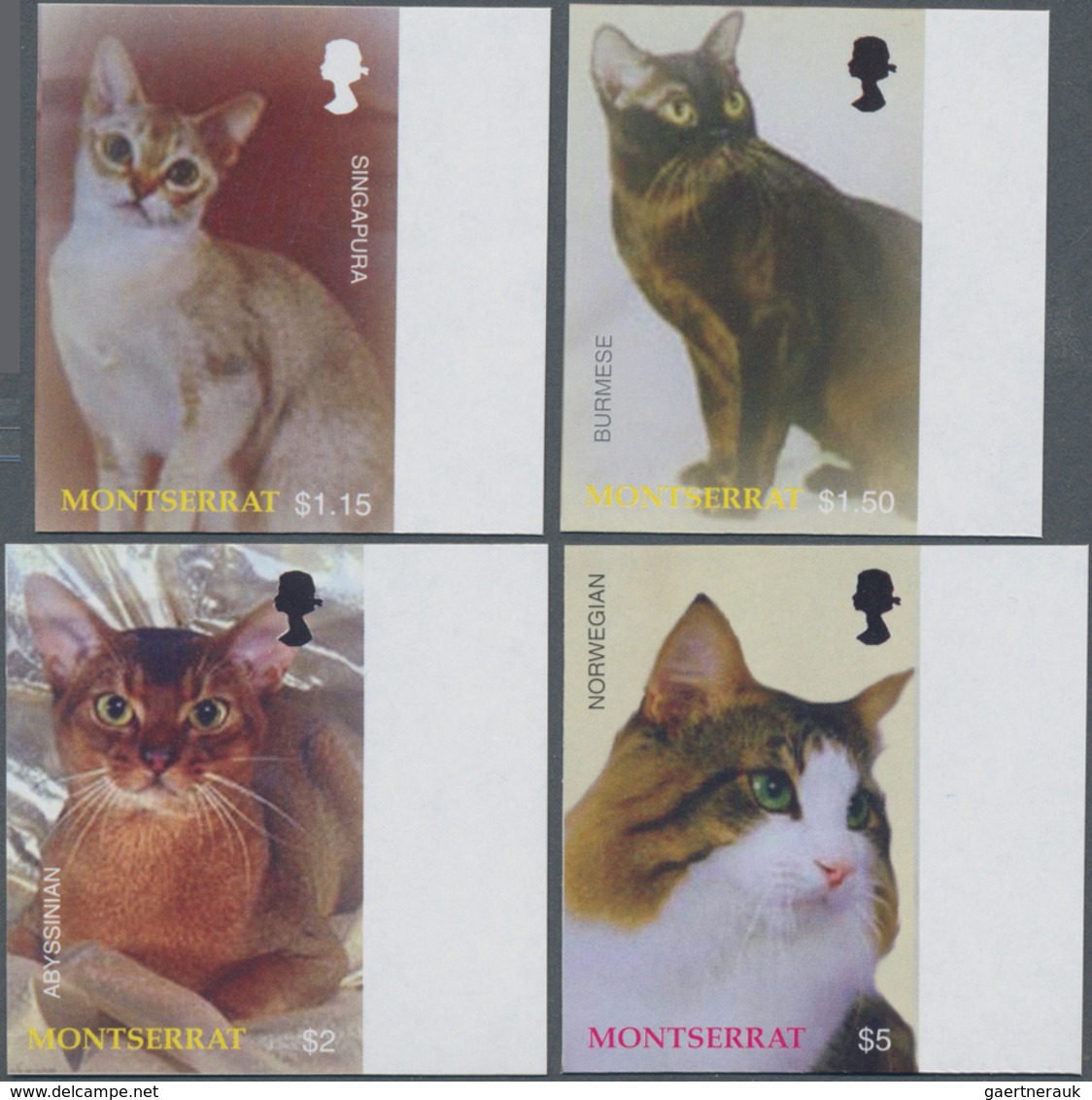 Montserrat: 2004, Cats Complete IMPERFORATE Set Of Four (Singapura, Burmese, Abyssinian And Norwegia - Autres & Non Classés