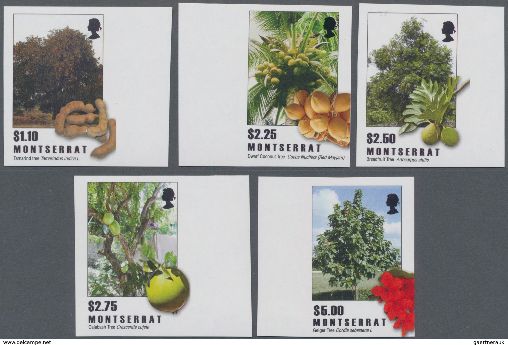 Montserrat: 2009, Trees And Their Fruits Complete IMPERFORATE Set Of Five (Tamarind Tree, Dwarf Coco - Other & Unclassified