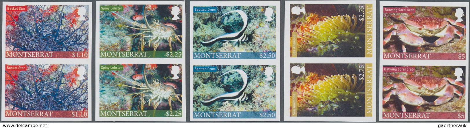 Montserrat: 2010, Sea Animals Complete IMPERFORATE Set Of Five (Basket Star, Spiny Lobster, Sea Anem - Other & Unclassified