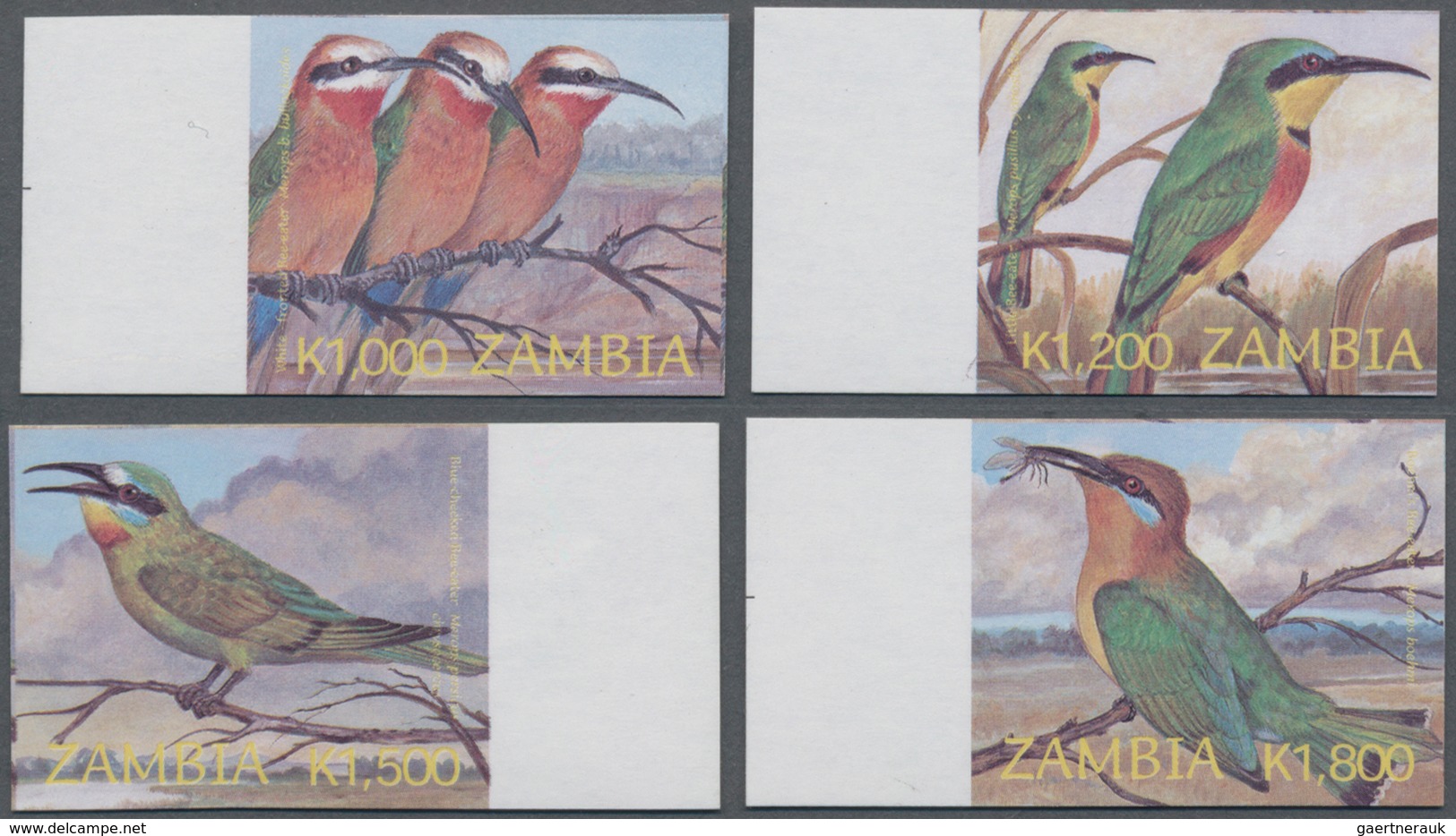 Sambia: 2003, Definitive Issue 'birds' (Merops Bullockoides, Merops Pusillus, Merops Persicus And Me - Zambia (1965-...)