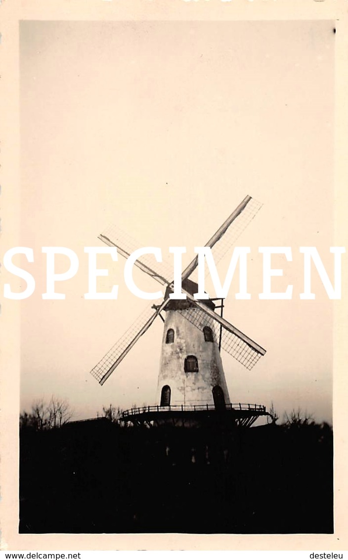 Foto Molen Kanegem  10,5 X 6,5 Cm - Tielt