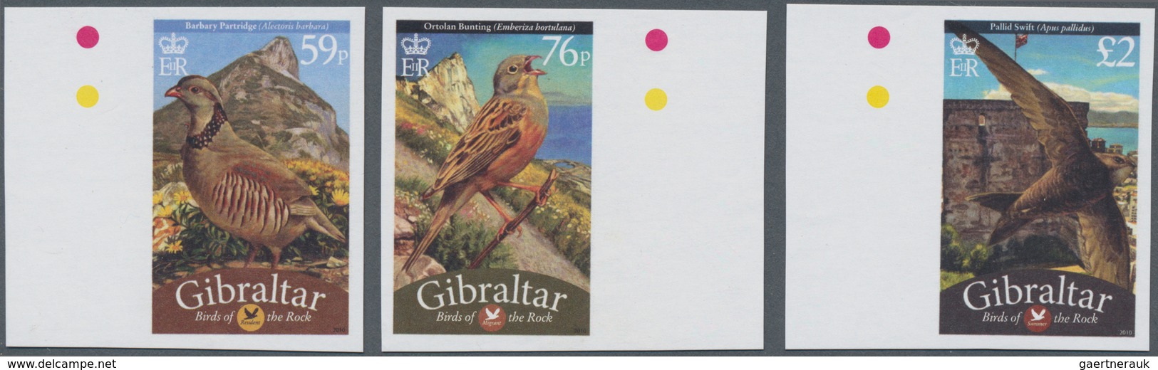 Gibraltar: 2010, Birds Complete IMPERFORATE Set Of Three (Alectoris Barbara, Emberiza Hortulana And - Gibraltar