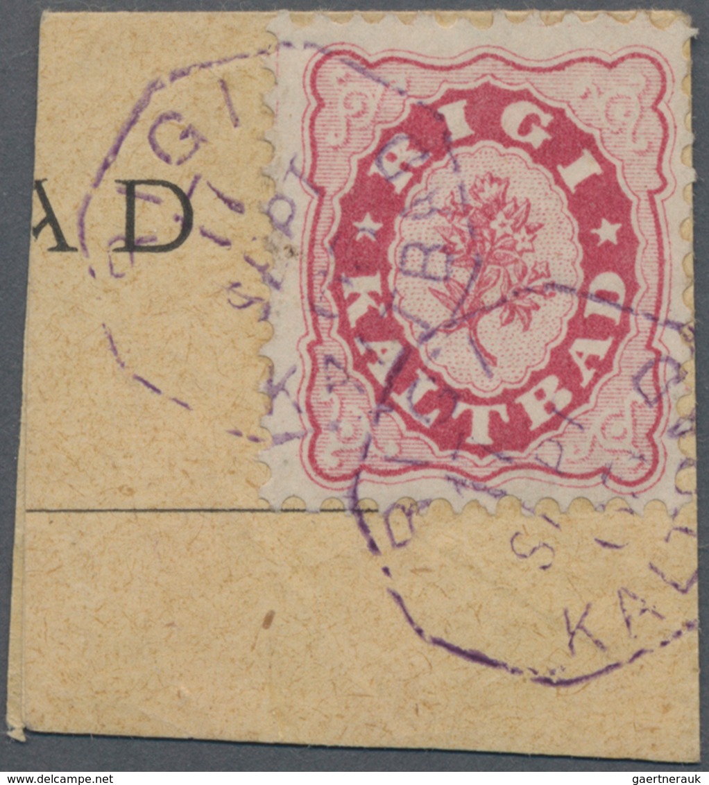 Schweiz - Hotelpost: 1864 RIGI-KALTBAD (15 Rp.) Dunkelkarmin, Gebraucht Auf Briefstück, übergehend E - Other & Unclassified