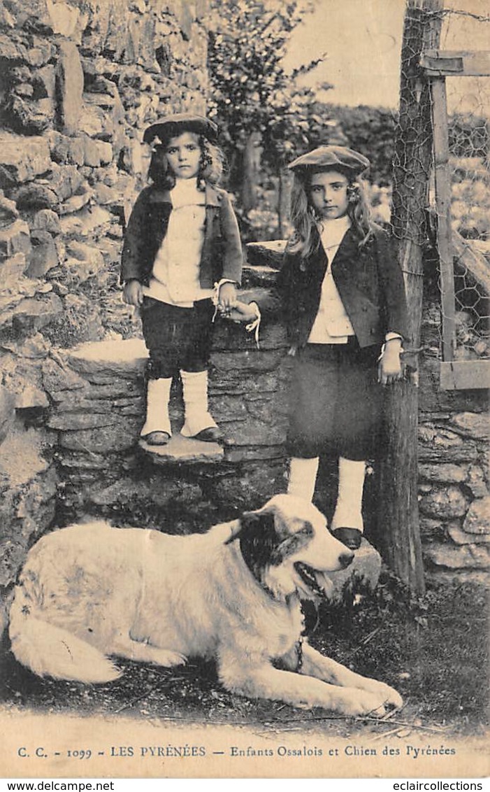 Non Localisé          64          Enfants Ossalois Et Chien Des Pyrénées    (voir Scan) - Sonstige & Ohne Zuordnung