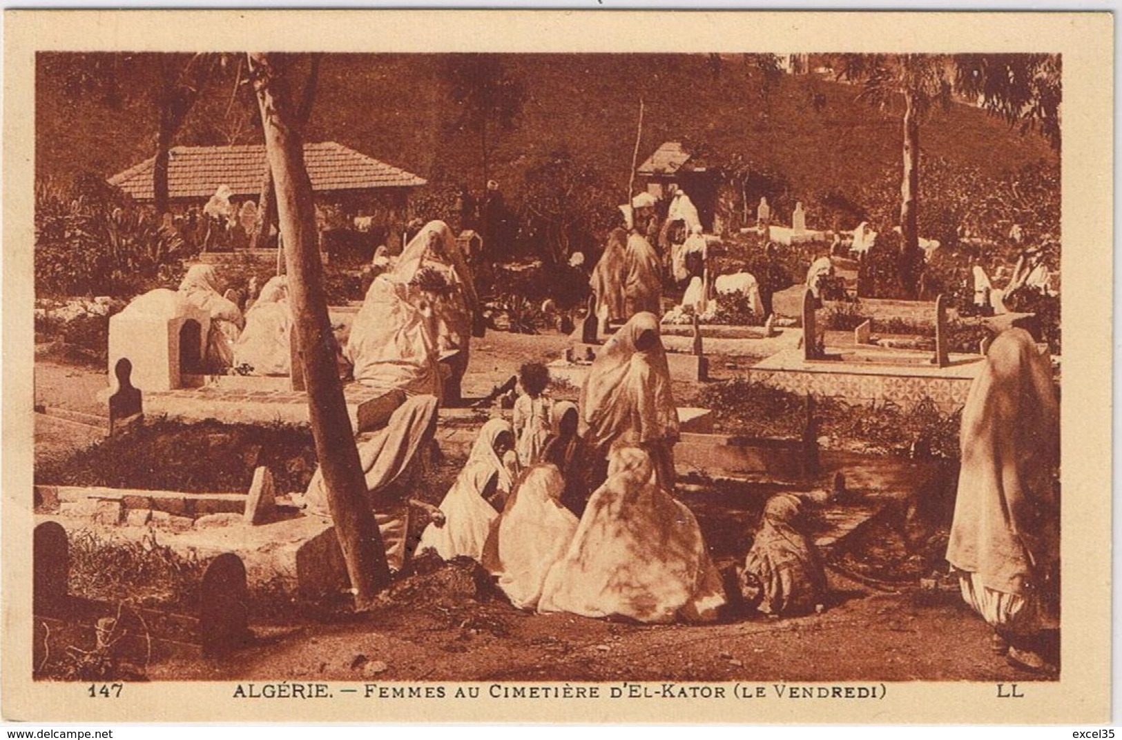 ALGER - ALGERIE - Femmes Au Cimetière D'EL-KATOR Le Vendredi - LL - CPA GROS PLAN - Femmes