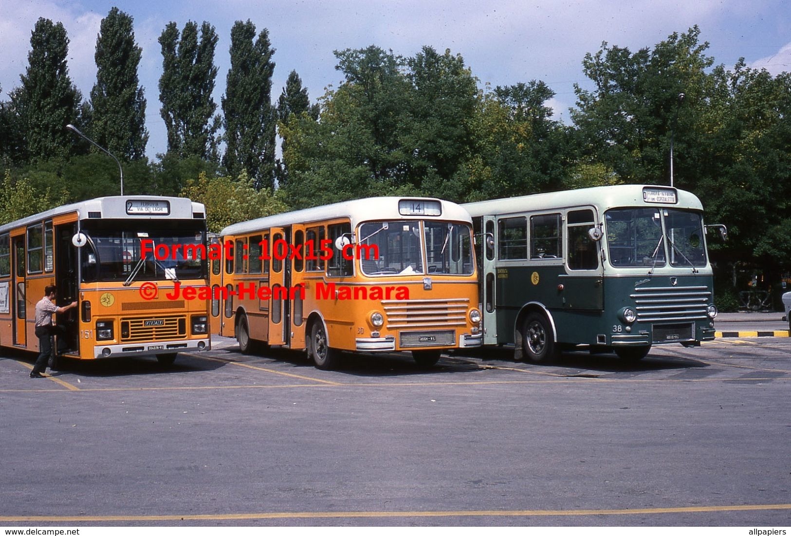 Reproduction D'une Photographie De Trois Bus Garés Sur Un Parking à Vicence En Italie En 1976 - Other & Unclassified