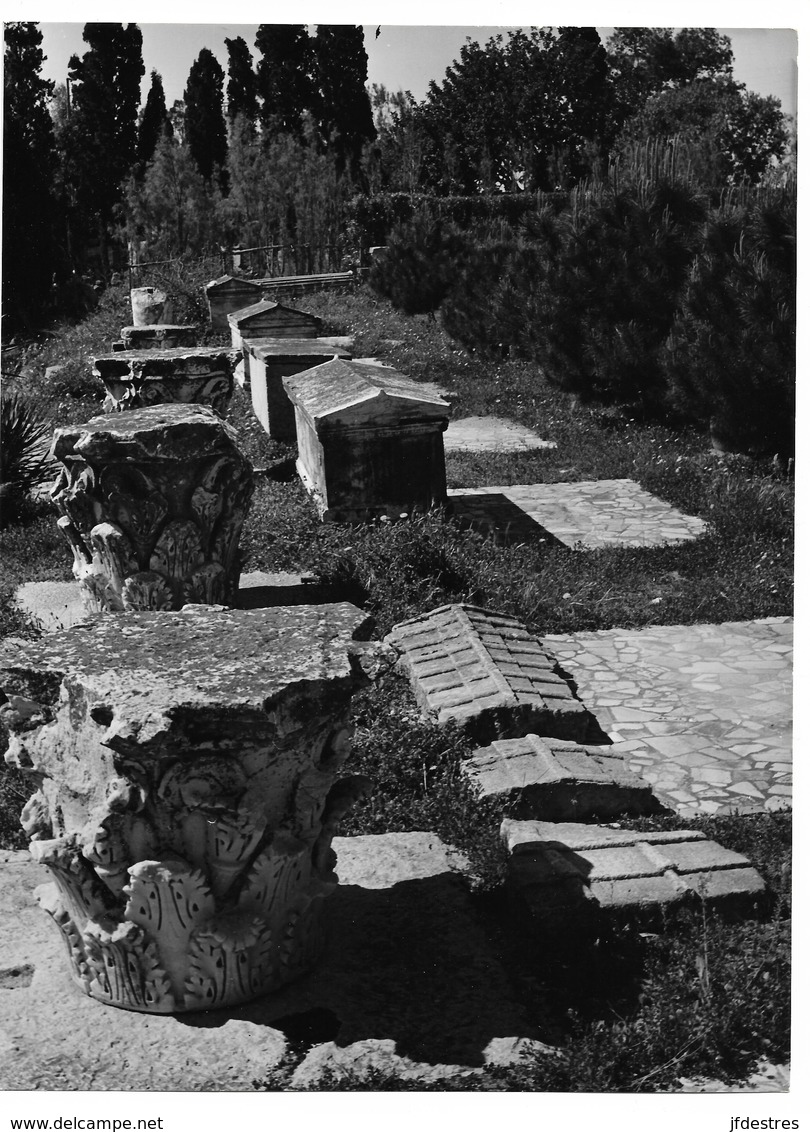 Photos (2) Tunisie Carthage Jardin Du Musée Lavigerie Tombes Antiques Photo Vivant Univers - Afrika