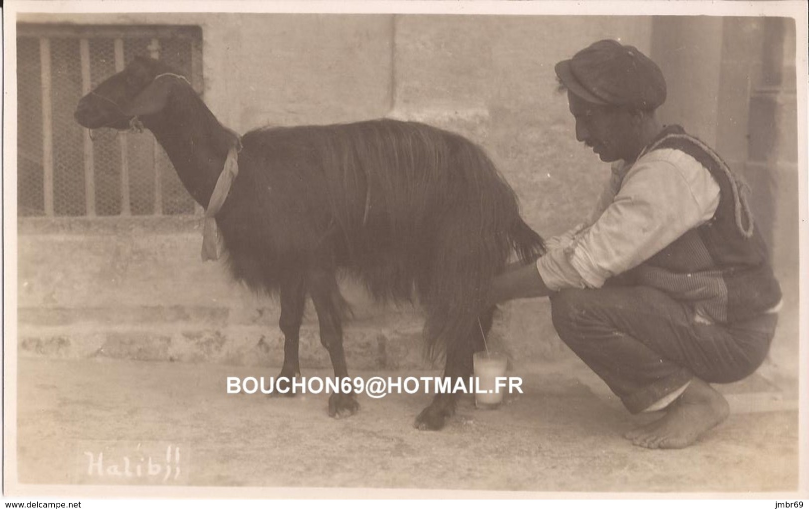 Malte - Malta - Halib Goat Chevre - Malta