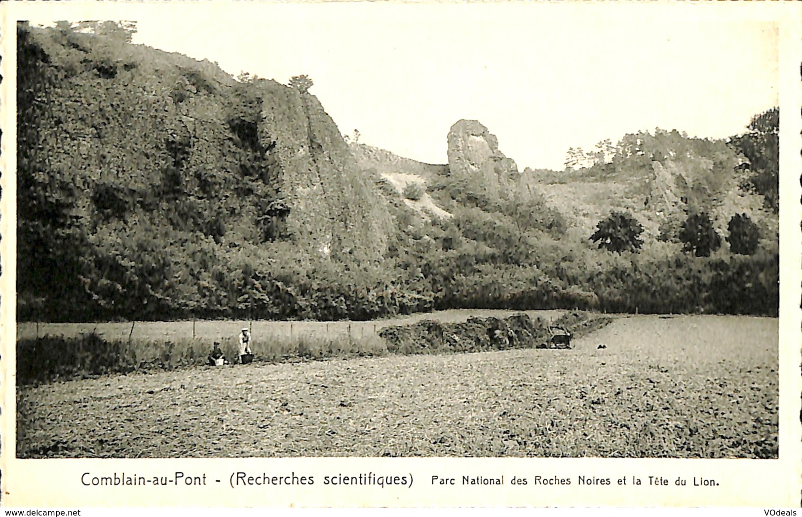 CPA - Belgique - Comblain-au-Pont - Parc National Des Roches Noires Et Tête De Lion - Comblain-au-Pont