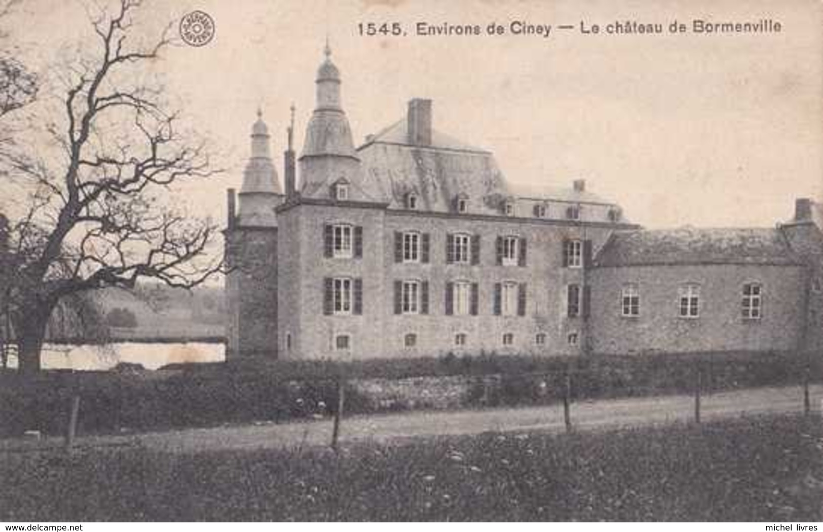 Ciney - Environs - Le Château De Bormenville - Circulé En 1909 - TBE - Ciney