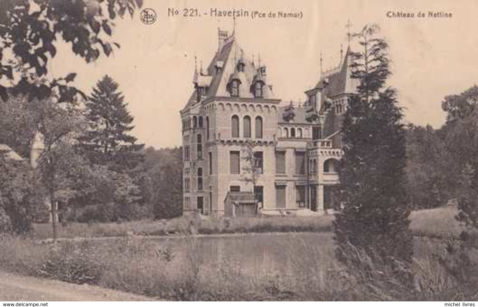 Haversin - Ciney - Château De Nettine - Pas Circulé - Nels - TBE - Ciney