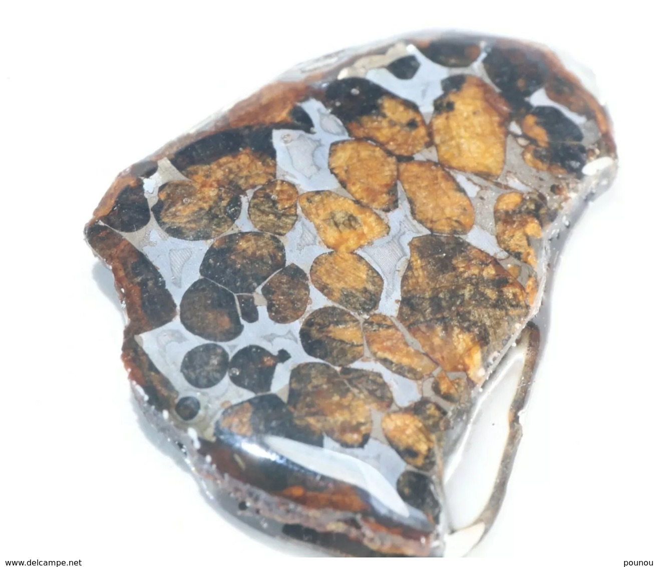 - MÉTÉORITE - PALLASITE - SERICHO - KENYA - 14.70 G - Météorites