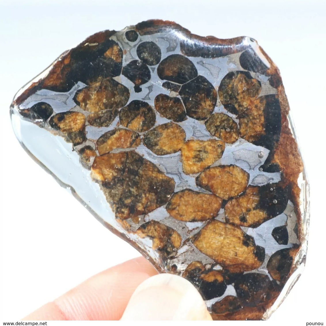 - MÉTÉORITE - PALLASITE - SERICHO - KENYA - 14.70 G - Météorites