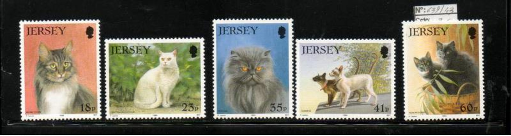 ANIMAUX   CHATS  JERSEY    N° 639 à 643   N**   NEUF Sans Charnière  Cte:  9,00 € - Chats Domestiques