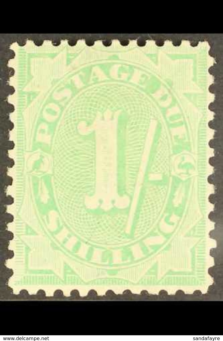 POSTAGE DUES 1908 1s Dull Green, Stroke After Figure Of Value, Perf 11½ X 11. SG D58, Very Fine Mint. For More Images, P - Andere & Zonder Classificatie