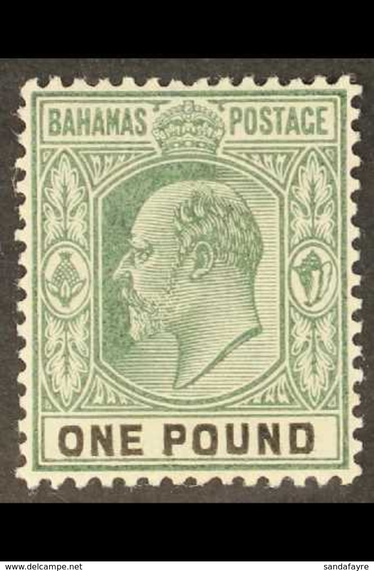 1902 KEVII £1 Green & Black, SG 70, Very Fine, Lightly Hinged Mint For More Images, Please Visit Http://www.sandafayre.c - Other & Unclassified