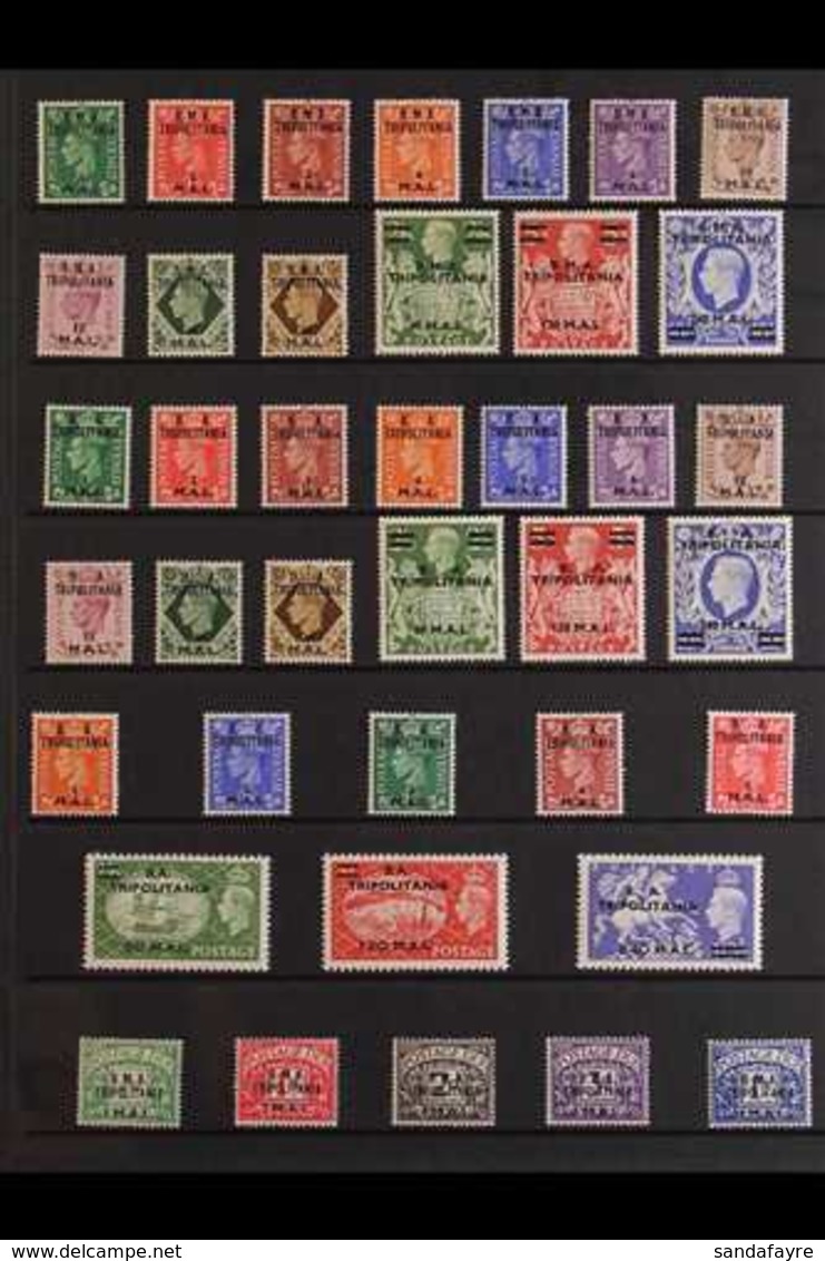 TRIPOLITANIA 1948-51 VERY FINE MINT SETS COLLECTION Presented On A Stock Page That Includes 1948-49 Set (SG T1/13), 1950 - Italienisch Ost-Afrika