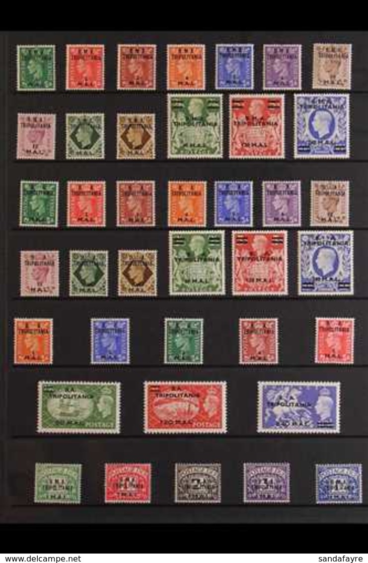 TRIPOLITANIA 1948-51 VERY FINE MINT SETS COLLECTION Presented On A Stock Page That Includes 1948-49 Set (SG T1/13), 1950 - Italian Eastern Africa