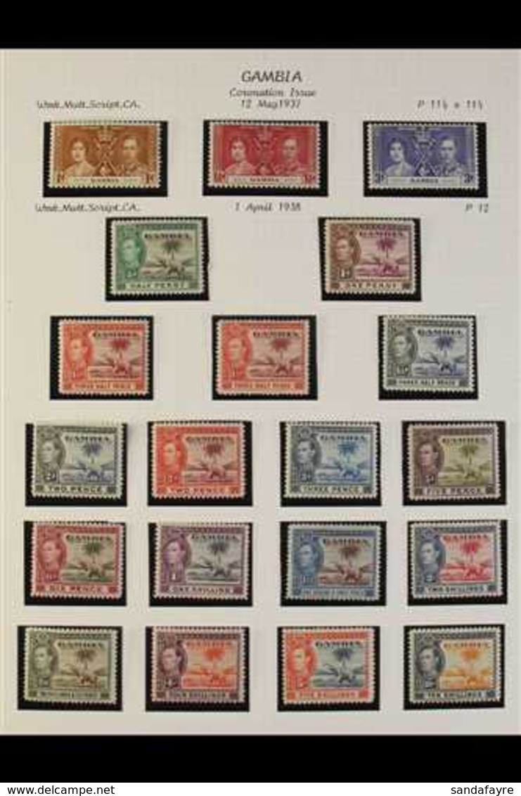 1937-49 KGVI FINE MINT COLLECTION. A Complete Basic Run, SG 147/169, Presented In Mounts On Album Pages. Lovely! (25+ St - Gambie (...-1964)