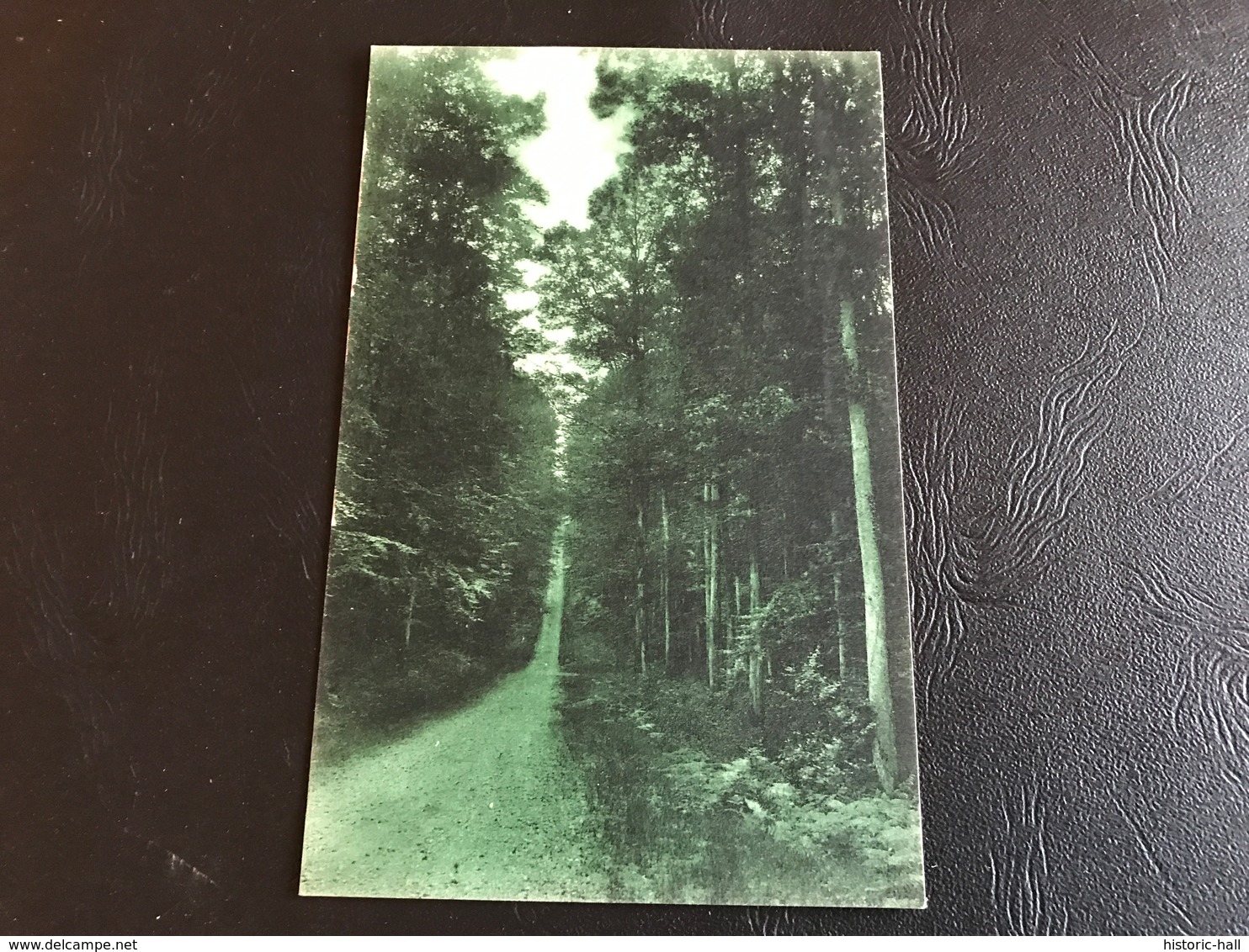 9481 - Environs De LA CHATRE SUR LOIR Foret De Bersay. Cote De L’Hermitiere - Autres & Non Classés