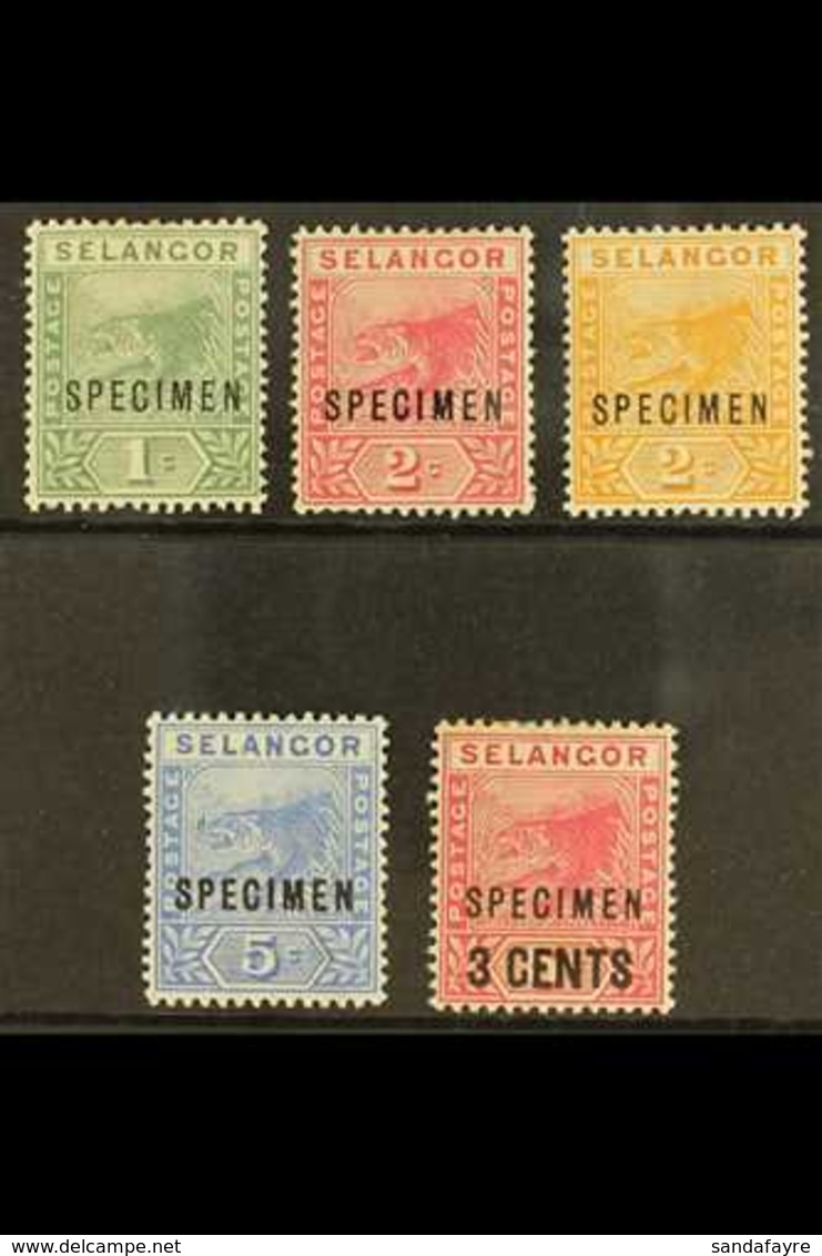 SELANGOR 1891 - 4 Tigers Set Plus 3c Overprint Overprinted "Specimen", SG 49s/53s, Very Fine Mint. (5 Stamps) For More I - Andere & Zonder Classificatie