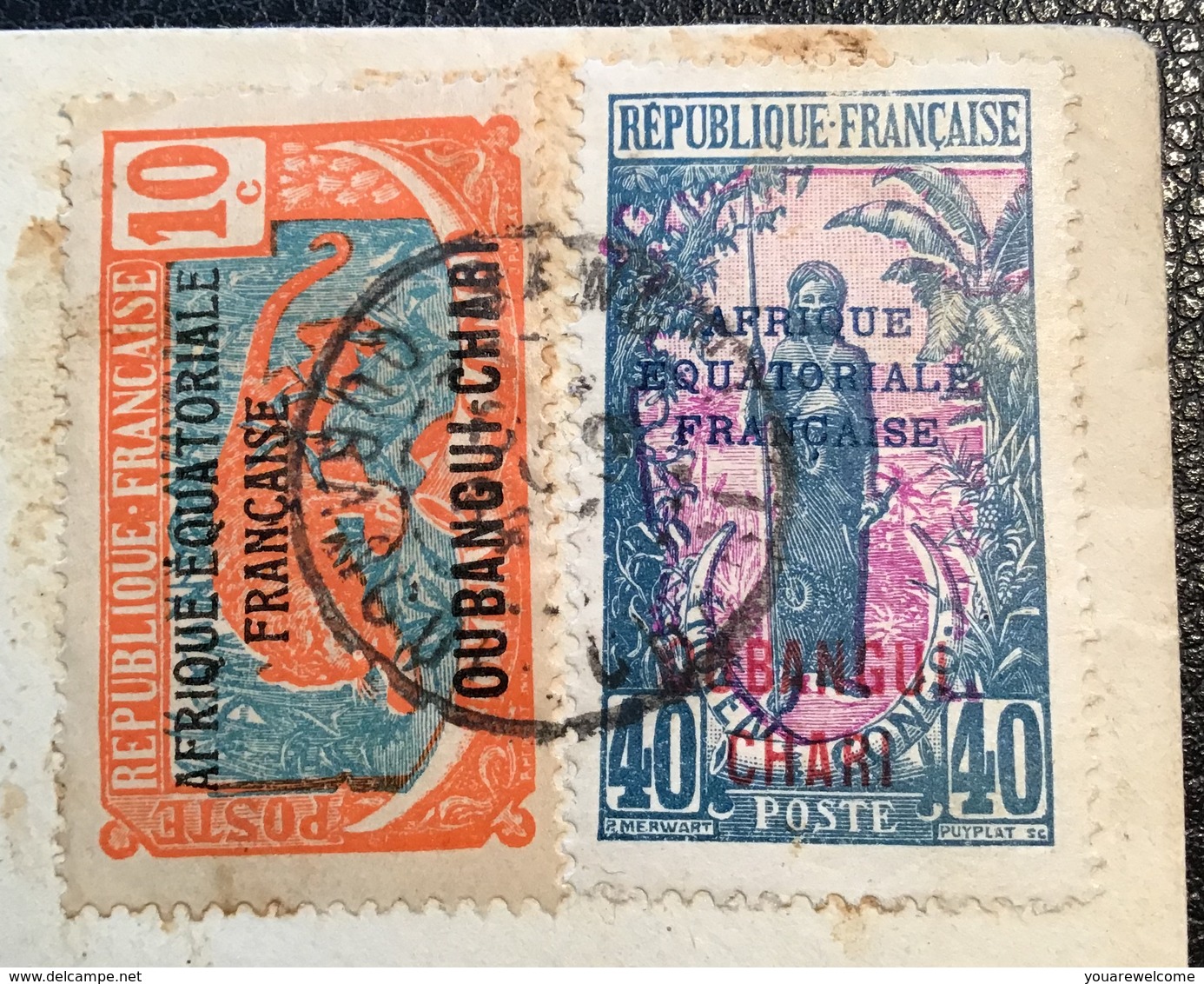 Lettre Par Avion Alger „BANGUI / OUBANGUI-CHARI 1934“>France(A.E.F Cie Forestiére Sangha Likouala Wood Trees  Cover - Lettres & Documents