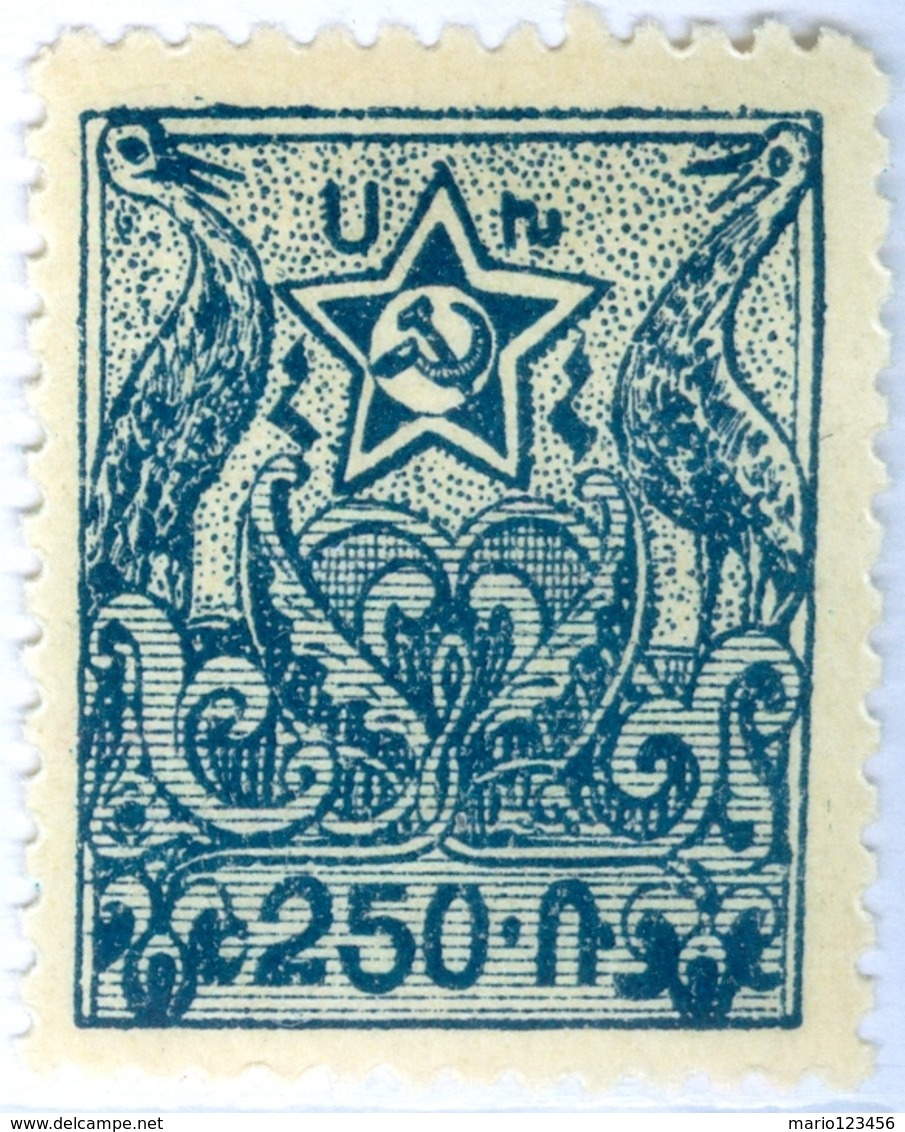 ARMENIA, SIMBOLI NAZIONALI, 1921, 250 R., FRANCOBOLLO NUOVO (MLH*)  Mi:AM IIhA, Scott:AM 285, Yt:AM 109 - Armenia