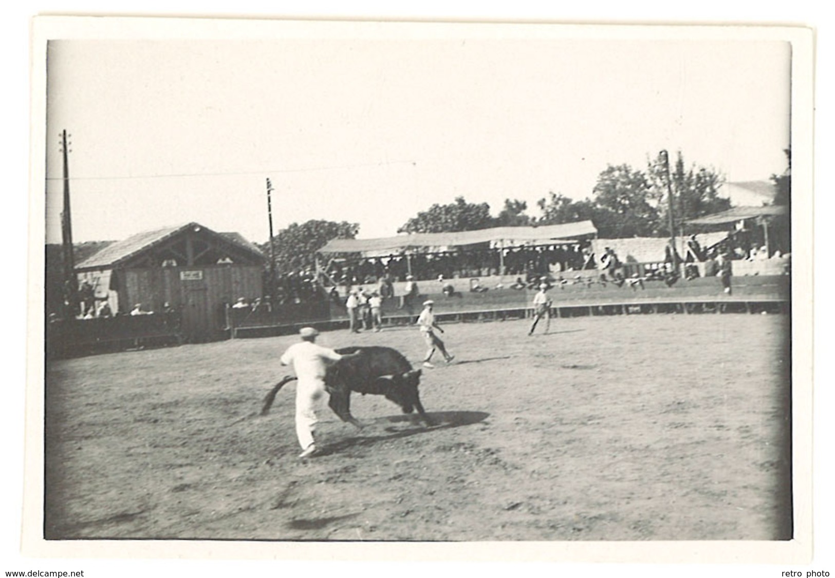 Photo Course Camarguaise Dans Arènes à Identifier, Raseteur, Taureau - Autres & Non Classés