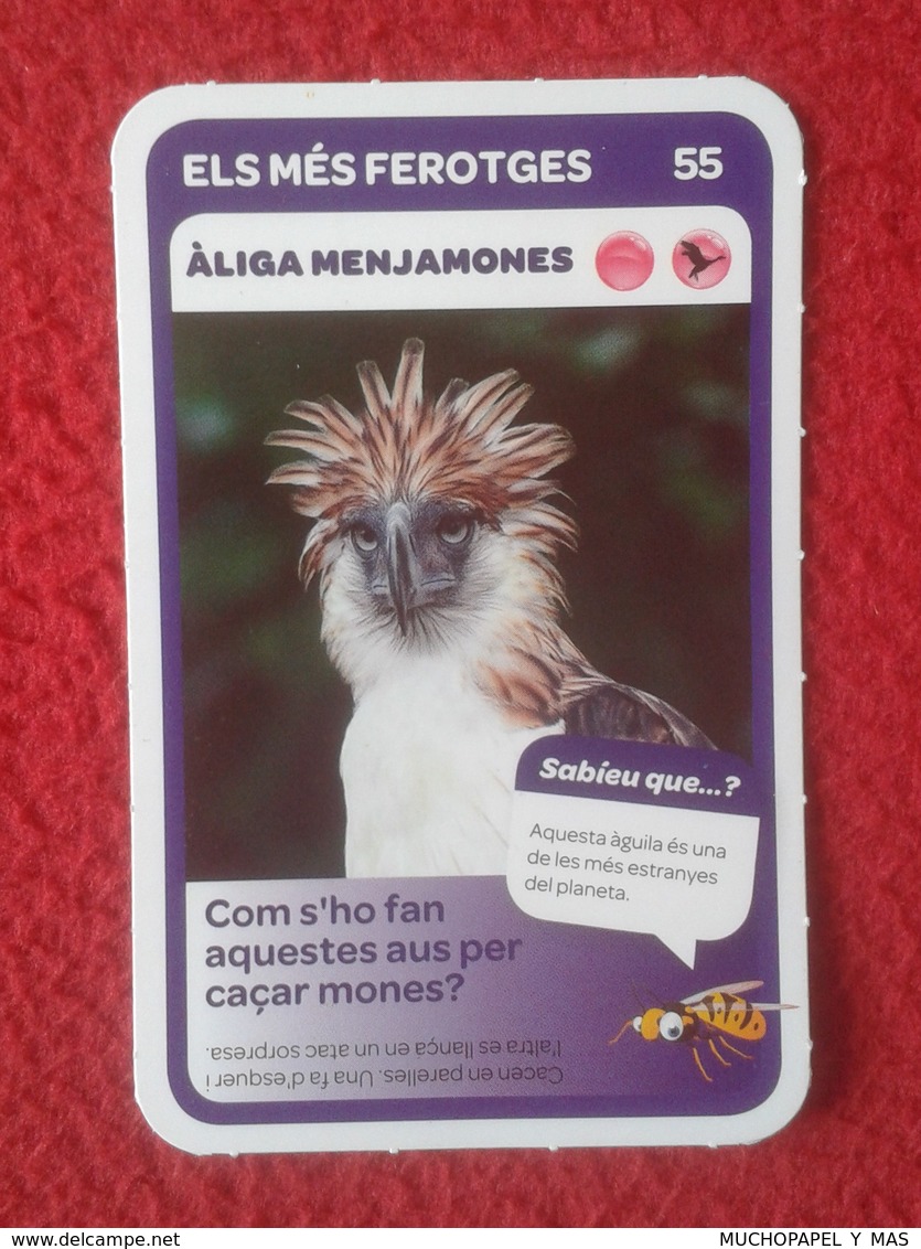 SPAIN CROMO COLLECTIBLE CARD COLECCIÓN SUPER ANIMALS CONDIS ZOO BARCELONA ÀLIGA MENJAMONES ÁGUILA EAGLE AIGLE VER FOTOS - Otros & Sin Clasificación