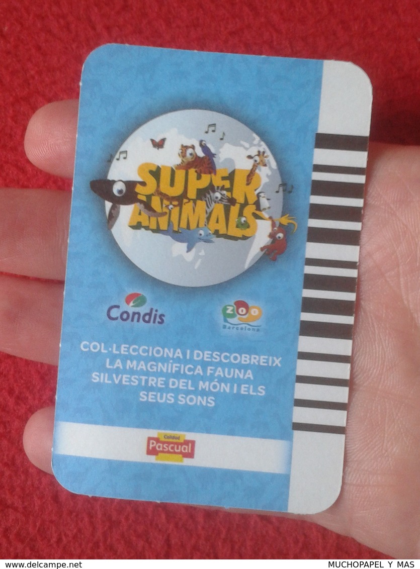 SPAIN CROMO COLLECTIBLE CARD COLECCIÓN SUPER ANIMALS CONDIS ZOO BARCELONA ABEJA ABELLA AFRICANA HONEY BEE ABEILLE VER... - Otros & Sin Clasificación